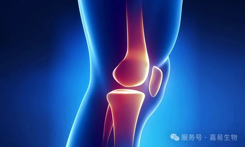 2025-12-11140356289 2025-12-11140356289